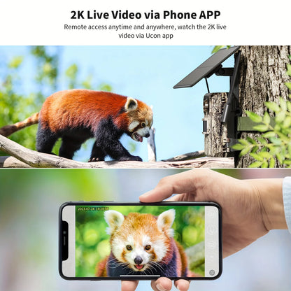 Cellular Trail Cameras 3rd Gen with Live Streaming